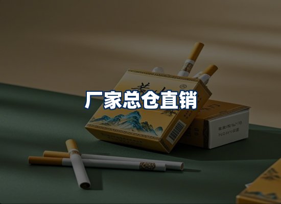 专业团队办公环境